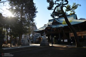 20180111125652_NIKON D7100.jpg